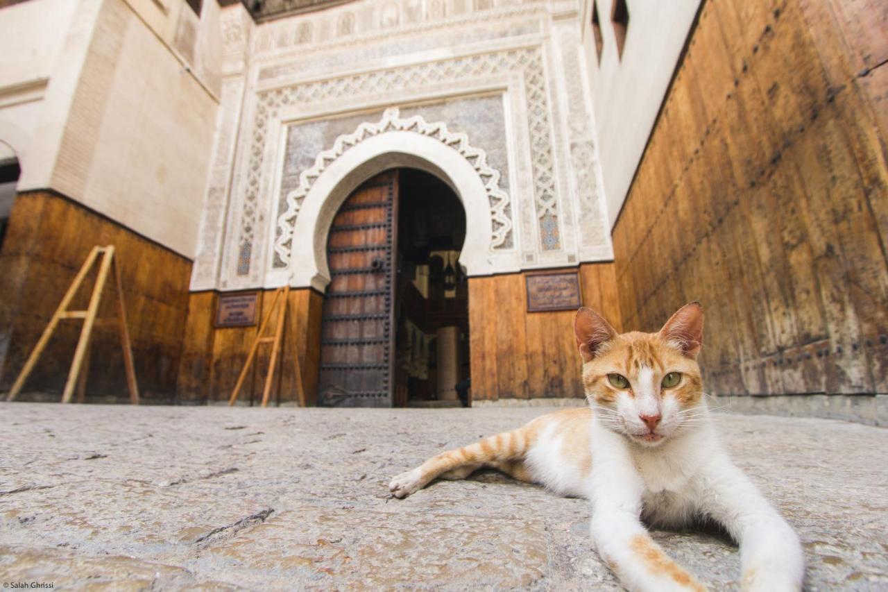 Riad Anis Fez Buitenkant foto